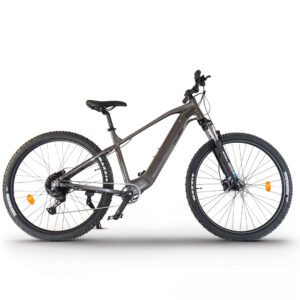 UB300/Ebike Montaña