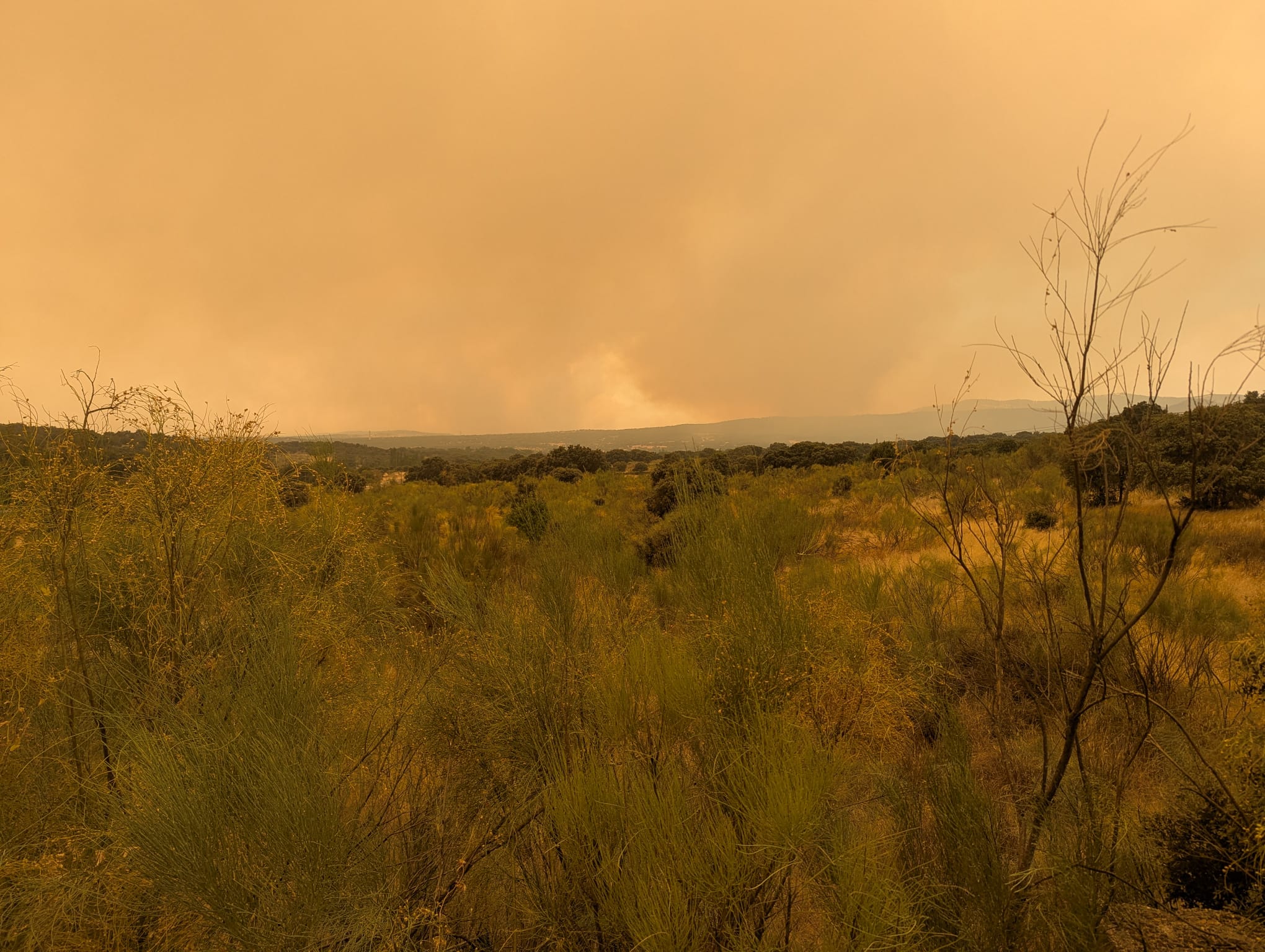 Paisaje de la Sierra Oeste de Madrid durante el incendio forestal de julio 2026, cielo teñido de humo