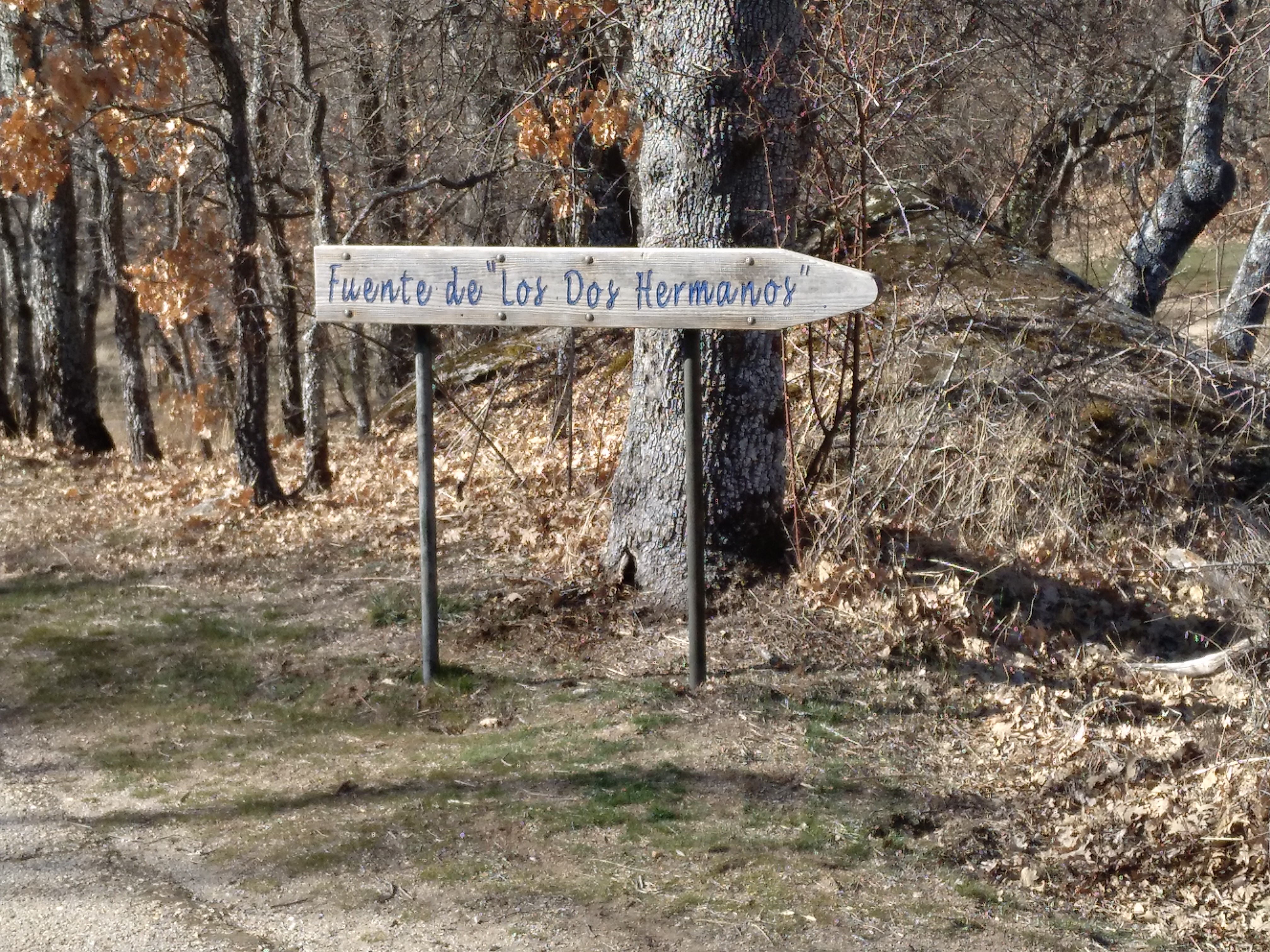 Sign for the Fuente de Los Dos Hermanos in La Herrería Forest